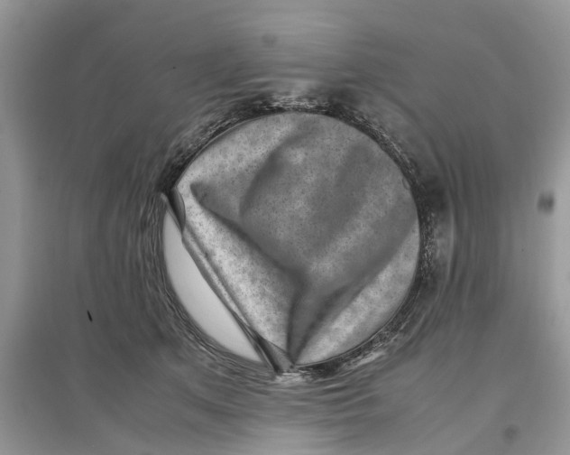 X0000097300513200803071755