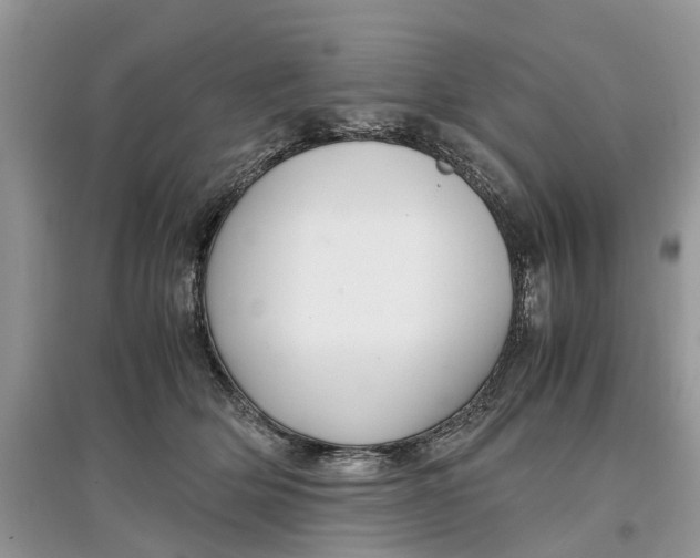 X0000097300514200803071755