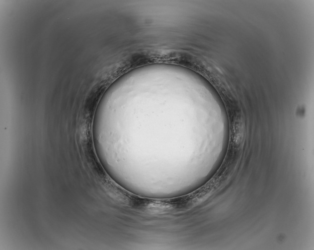 X0000097300515200803071755