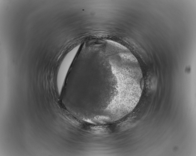 X0000097300516200803071755