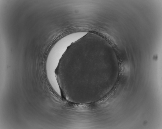 X0000097300517200803071755