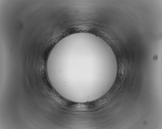 X0000097300518200803071755