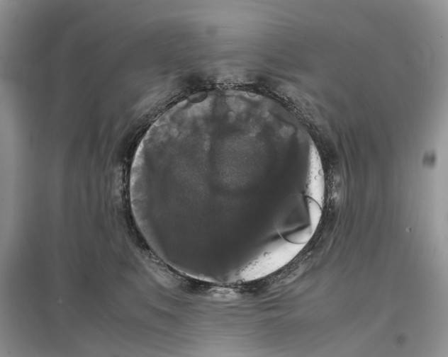 X0000097300519200803071755