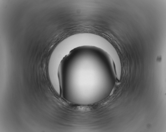 X0000097300520200803071755