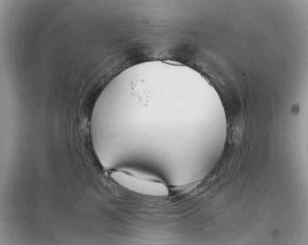 X0000097300521200803071755