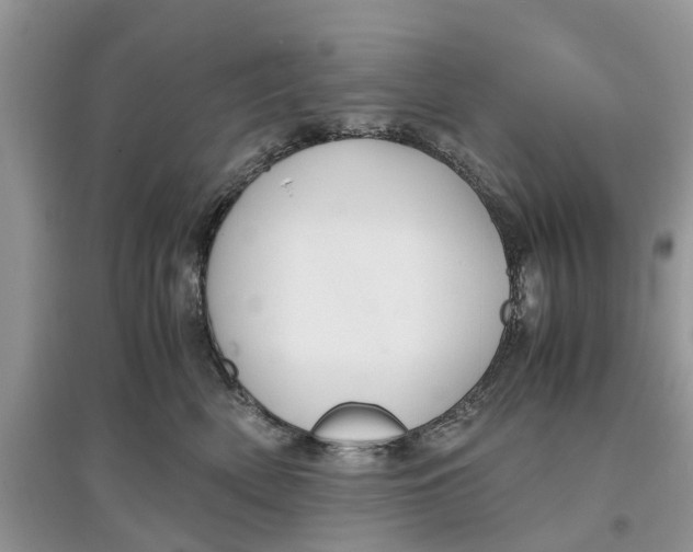 X0000097300522200803071755