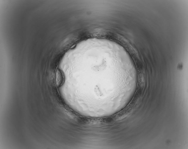 X0000097300523200803071755