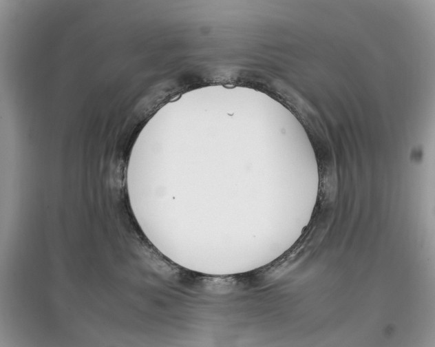 X0000097300525200803071755