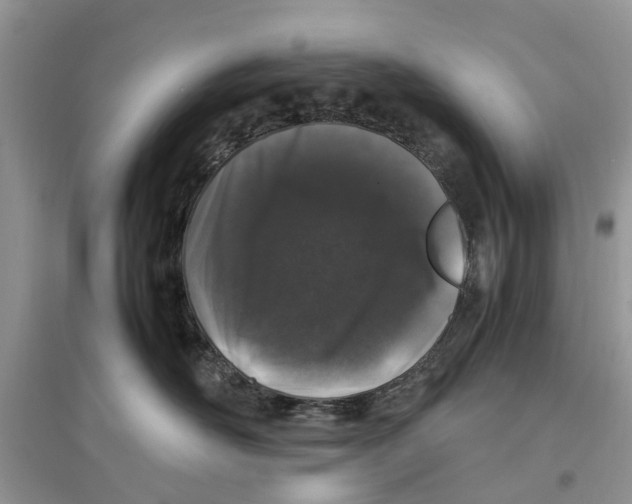 X0000097300526200803071755