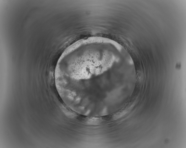 X0000097300527200803071755