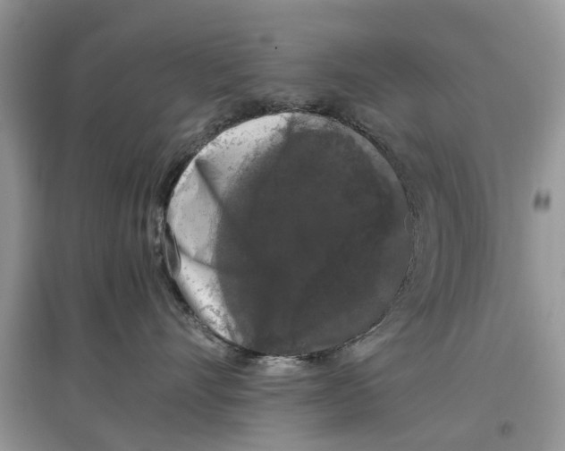 X0000097300528200803071755