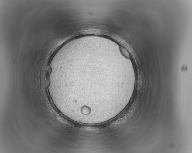 X0000097300529200803071754