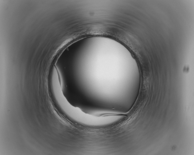 X0000097300530200803071754