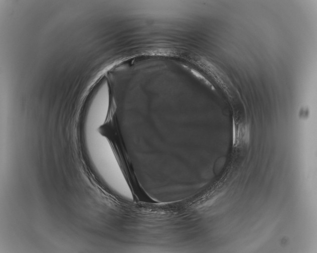 X0000097300531200803071754