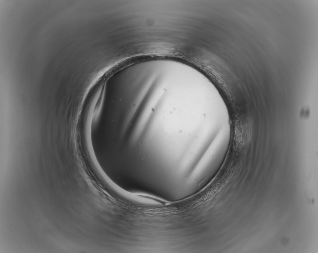 X0000097300532200803071754