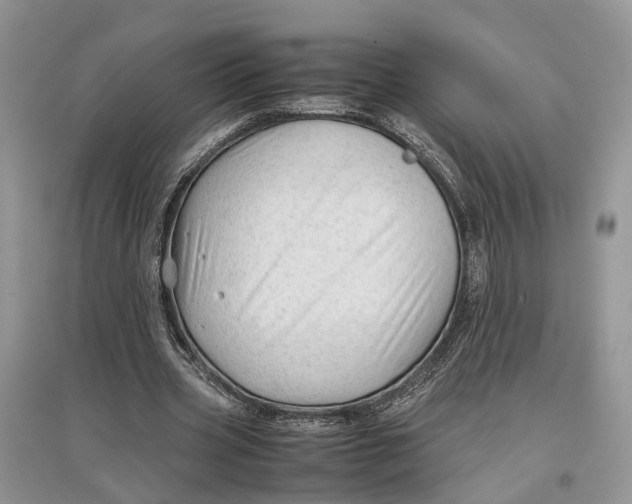 X0000097300533200803071754