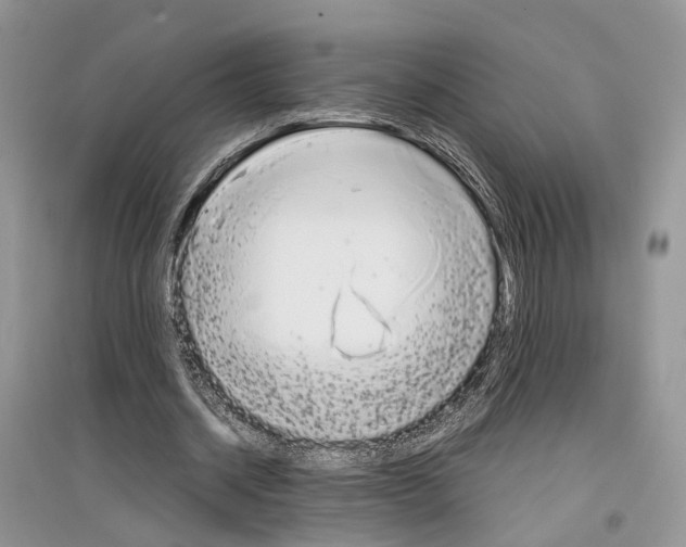 X0000097300534200803071754