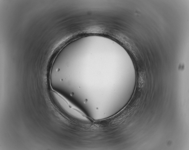 X0000097300535200803071754