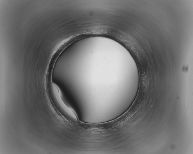 X0000097300536200803071754