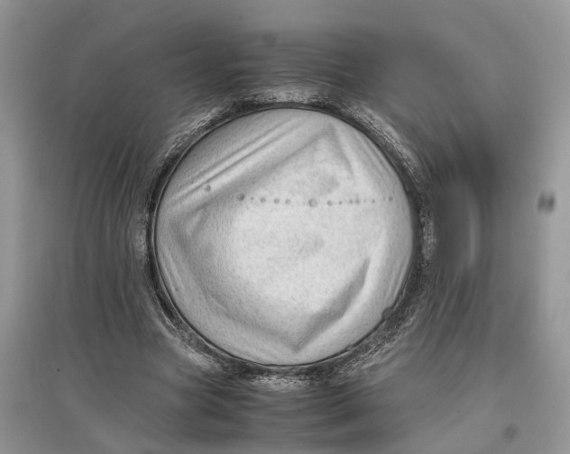 X0000097300537200803071754