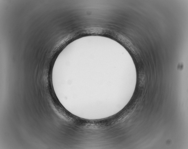 X0000097300538200803071754