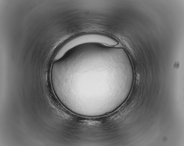 X0000097300539200803071754