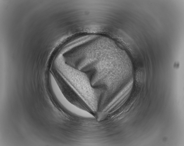 X0000097300540200803071754