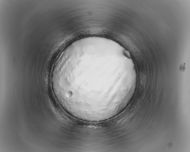 X0000097300542200803071754