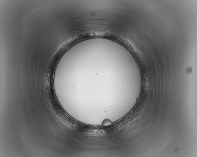 X0000097300543200803071754