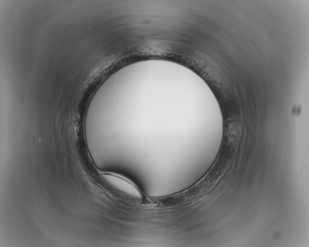 X0000097300544200803071754