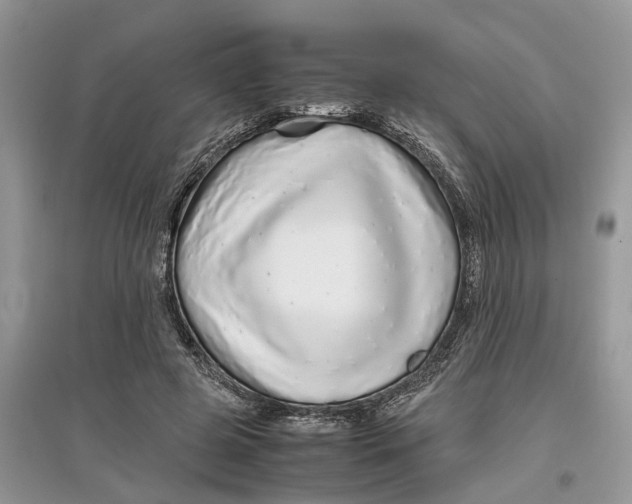 X0000097300545200803071754