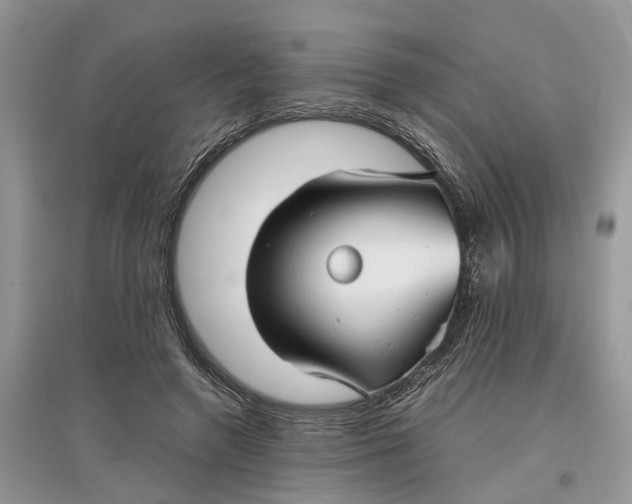 X0000097300546200803071754