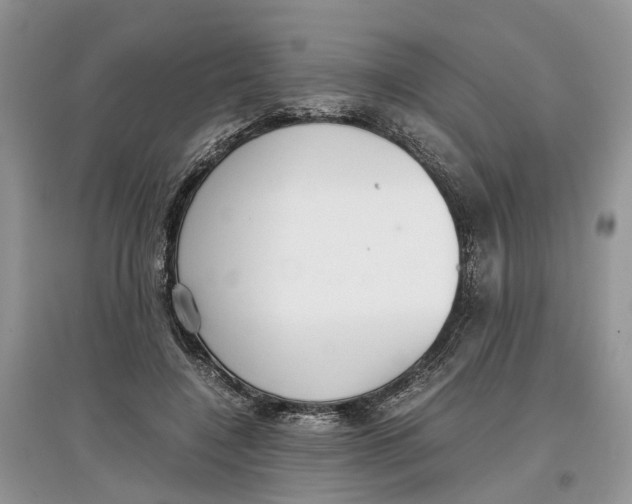 X0000097300548200803071754