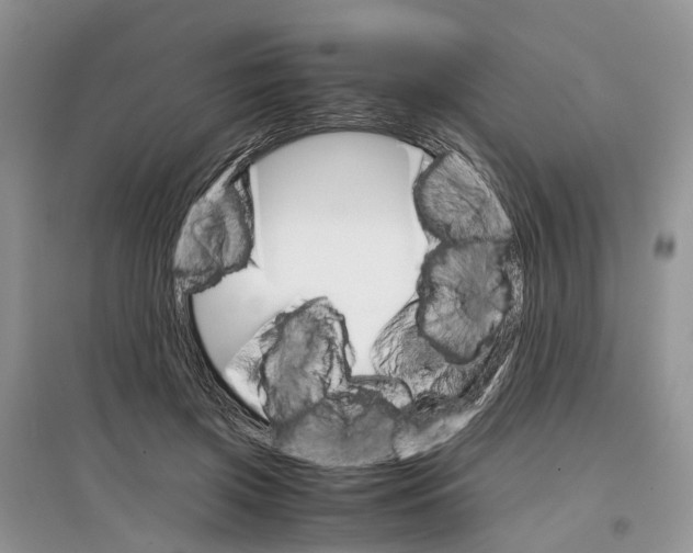 X0000097300549200803071754