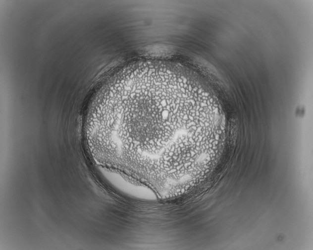 X0000097300550200803071754