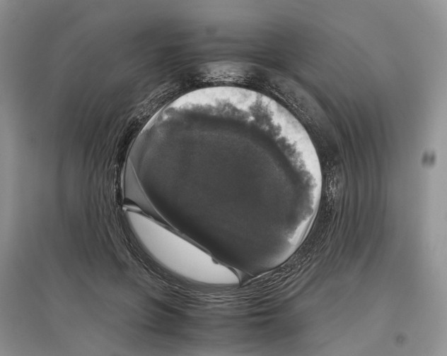 X0000097300551200803071754