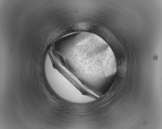 X0000097300552200803071754