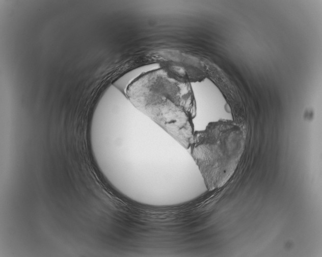 X0000097300553200803071754