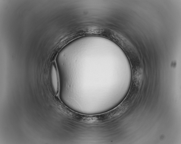 X0000097300554200803071754