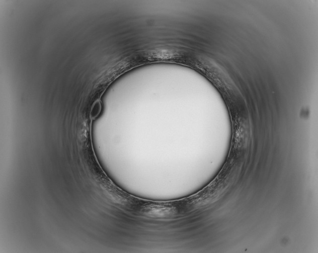 X0000097300555200803071754