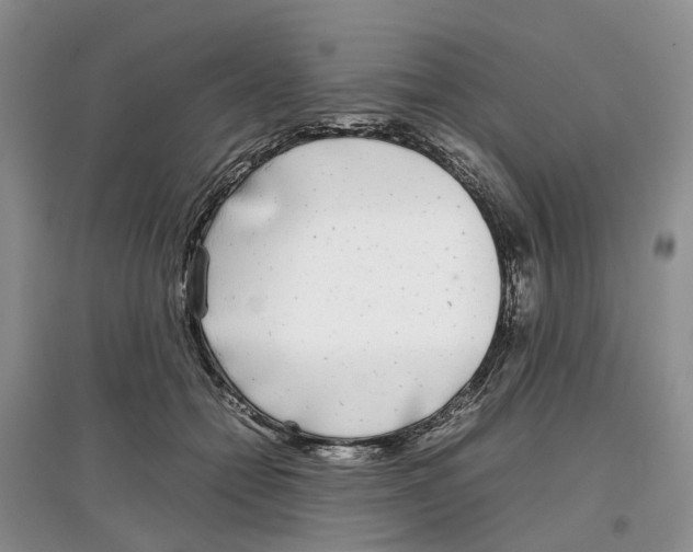 X0000097300558200803071754