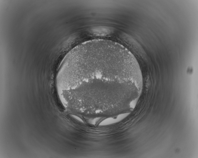 X0000097300559200803071754