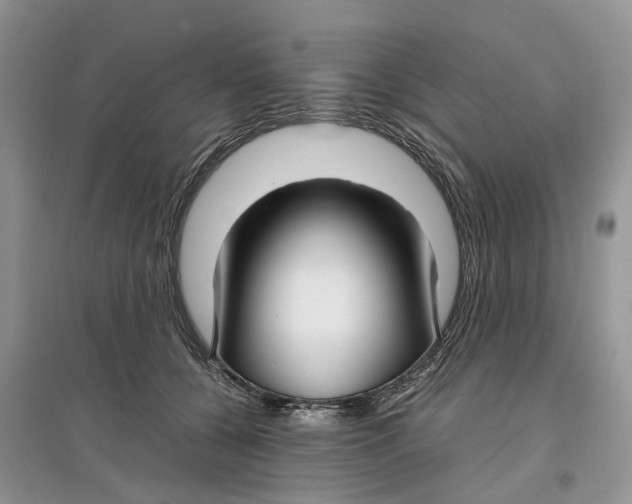 X0000097300560200803071754