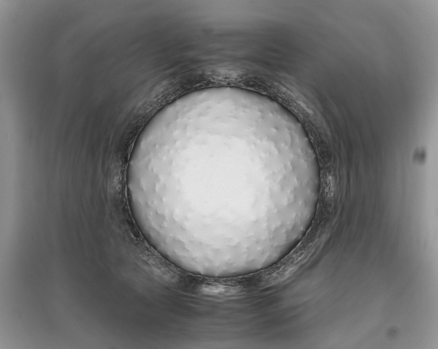 X0000097300561200803071754