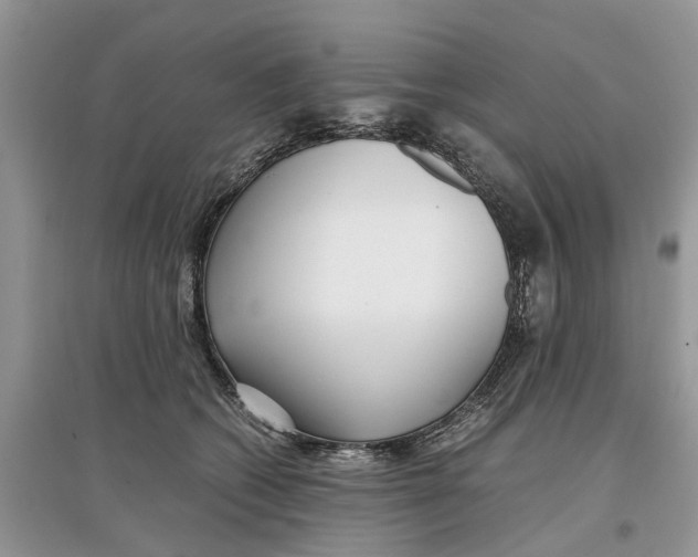 X0000097300562200803071754