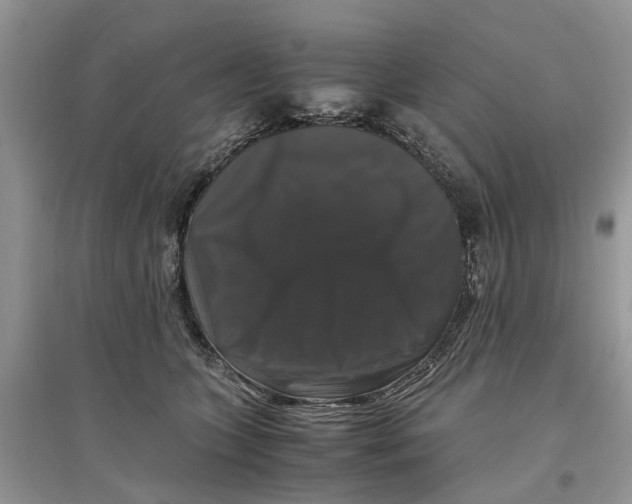 X0000097300563200803071754