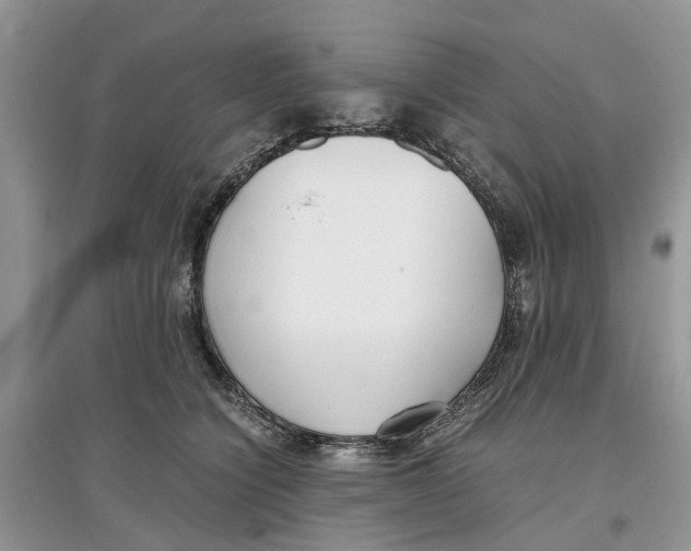 X0000097300564200803071754