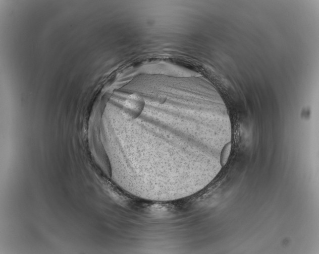 X0000097300566200803071754