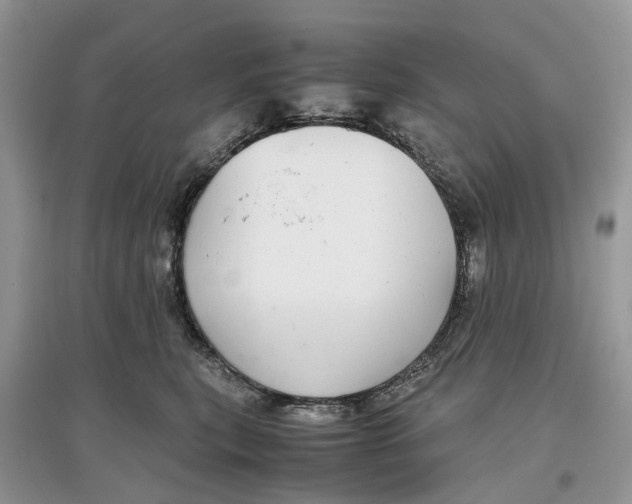 X0000097300567200803071754