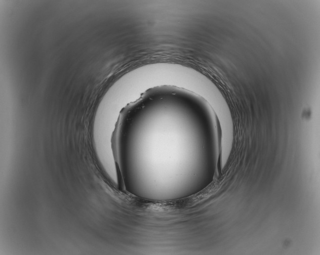 X0000097300568200803071754